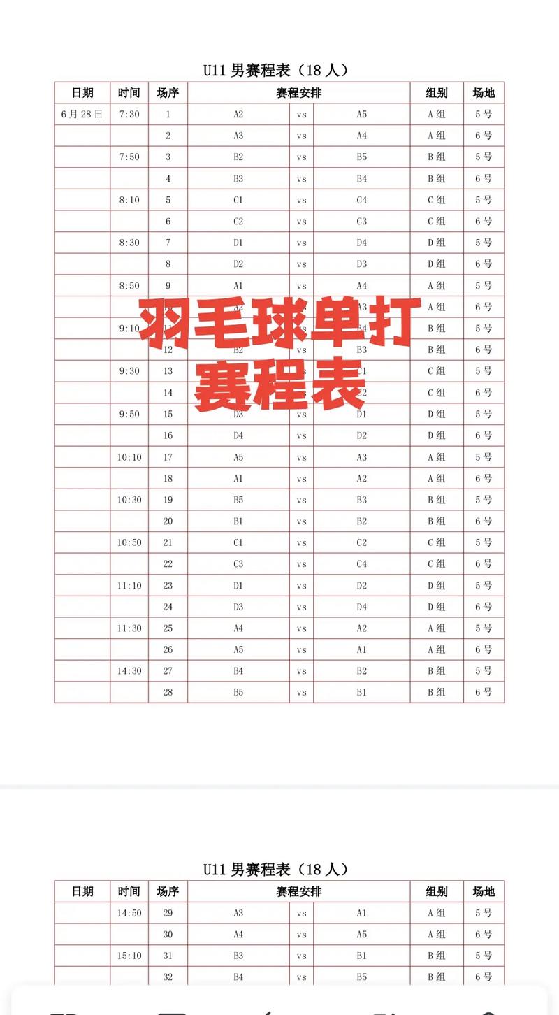 羽毛球比赛用球几号球，羽毛球比赛用球几号球77还是78？