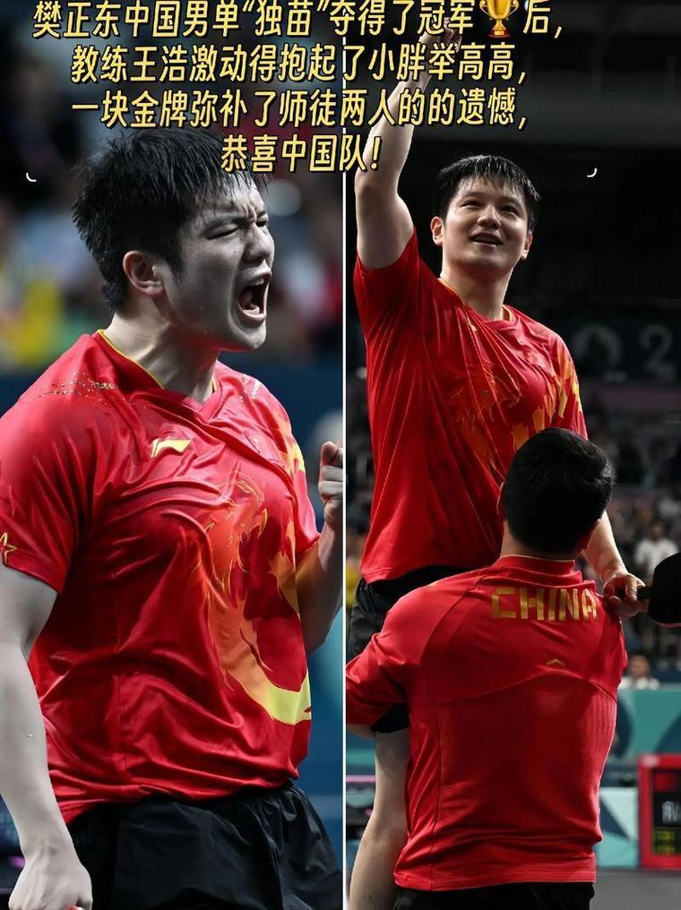 国乒两大奥运冠军先后丢冠，国乒两大奥运冠军先后丢冠的是谁