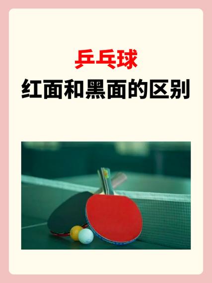 乒乓球胶皮区别，乒乓球拍胶皮区别
